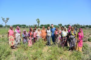 etnobotanika-galerija4